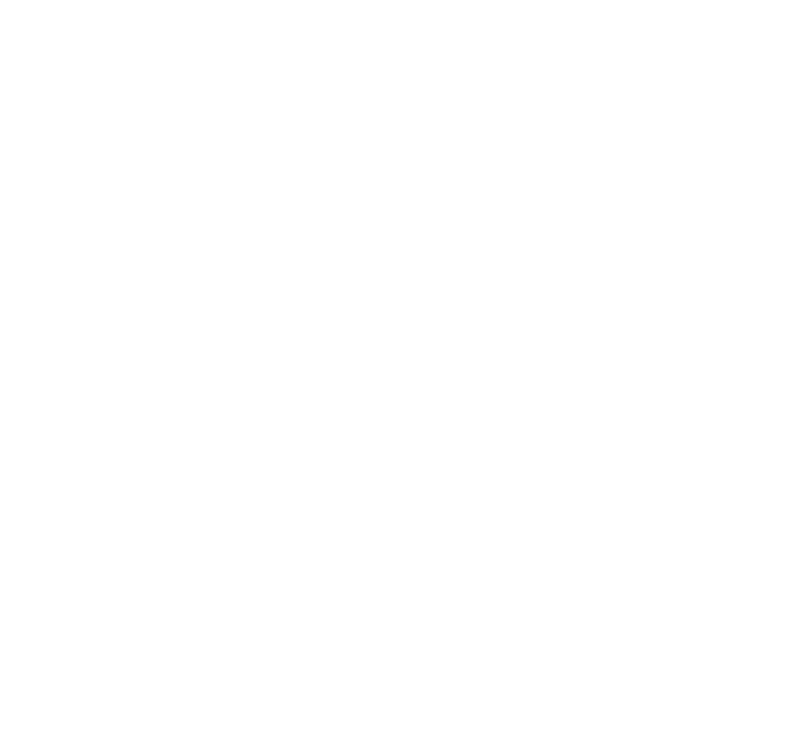 Купить электрогитару в Брянске. Магазин музыкальных инструментов.